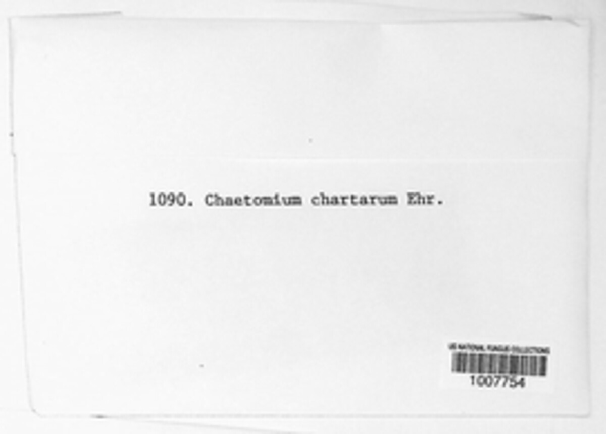 Chaetomium image